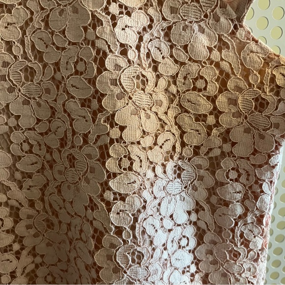 VGUC Zara Lace look Pink Vee Neck Dress Size Large - Picture 7 of 9